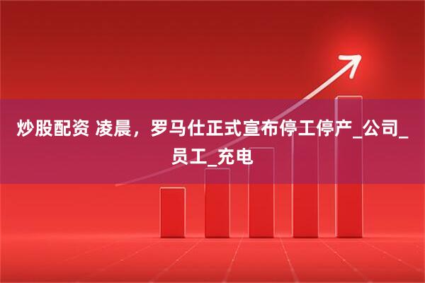 炒股配资 凌晨，罗马仕正式宣布停工停产_公司_员工_充电